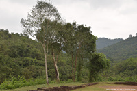 DSC_4225.jpg