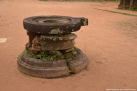 DSC_4230.jpg