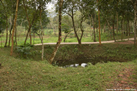 DSC_4231.jpg