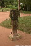 DSC_4233.jpg