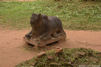 DSC_4234.jpg