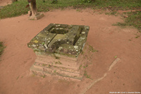 DSC_4235.jpg