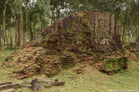 DSC_4243.jpg