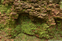 DSC_4247.jpg