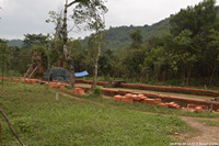 DSC_4248.jpg