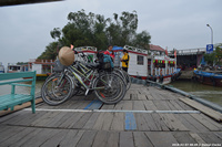 DSC_4335.jpg