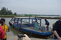 DSC_4338.jpg