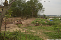 DSC_4344.jpg