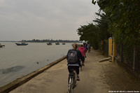 DSC_4356.jpg