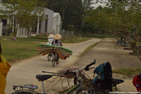 DSC_4359.jpg