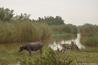 DSC_4364.jpg