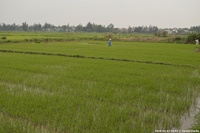 DSC_4366.jpg