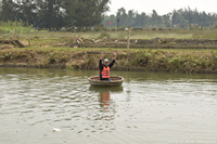 DSC_4387.jpg