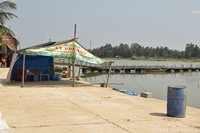 DSC_4413.jpg