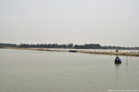 DSC_4419.jpg