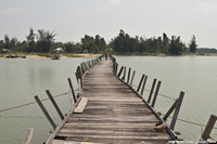 DSC_4424.jpg