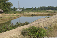 DSC_4435.jpg
