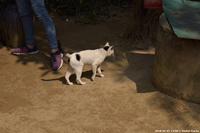 DSC_4472.jpg