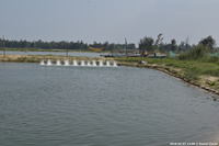 DSC_4476.jpg