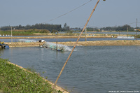 DSC_4477.jpg
