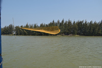 DSC_4482.jpg