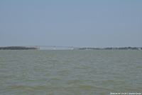 DSC_4484.jpg