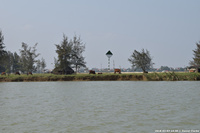 DSC_4494.jpg