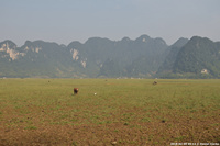 DSC_4517.jpg