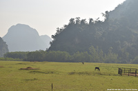 DSC_4525.jpg