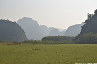 DSC_4526.jpg