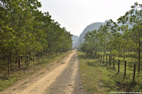 DSC_4532.jpg