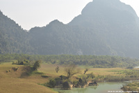 DSC_4535.jpg