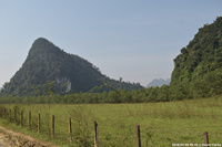 DSC_4538.jpg