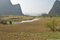 DSC_4541.jpg
