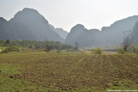 DSC_4542.jpg