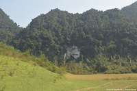 DSC_4549.jpg