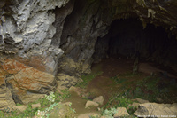 DSC_4580.jpg