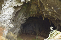 DSC_4587.jpg