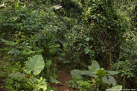 DSC_4642.jpg