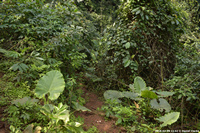 DSC_4643.jpg