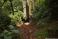 DSC_4650.jpg