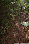 DSC_4651.jpg