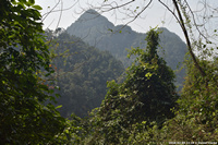DSC_4665.jpg