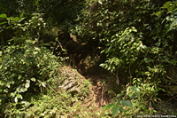 DSC_4668.jpg