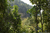 DSC_4670.jpg