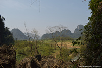 DSC_4675.jpg