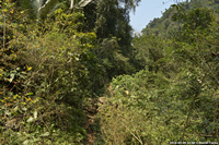 DSC_4699.jpg