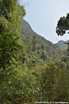 DSC_4700.jpg