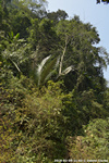 DSC_4703.jpg