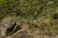 DSC_4704.jpg